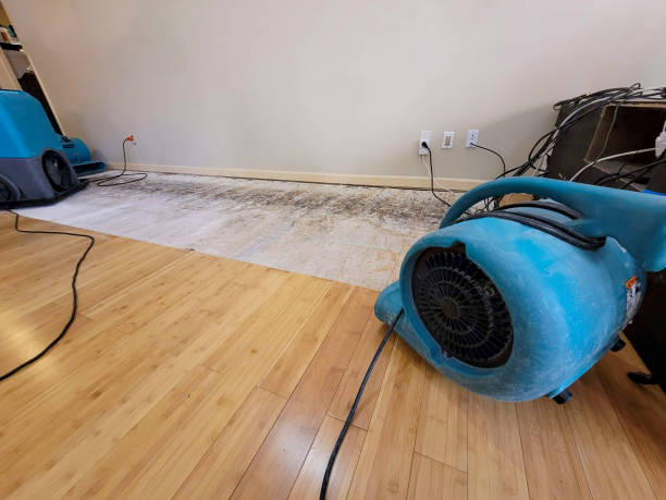 Professional Structural Drying technician working in Friant, CA